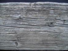 Wood 004