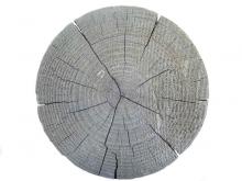 Wood 018