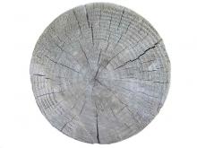 Wood 020