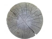 Wood 021