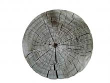 Wood 022