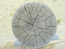 Wood 026