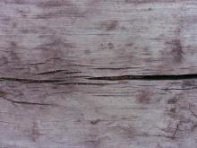 Wood 057