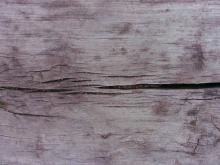 Wood 057