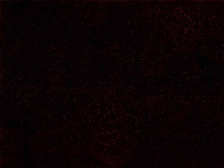 Digital 018