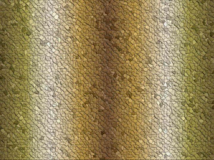 Mosaic 011