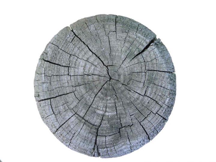 Wood 015