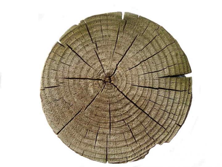 Wood 016