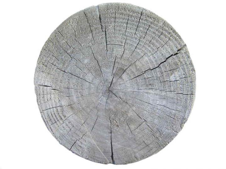 Wood 020