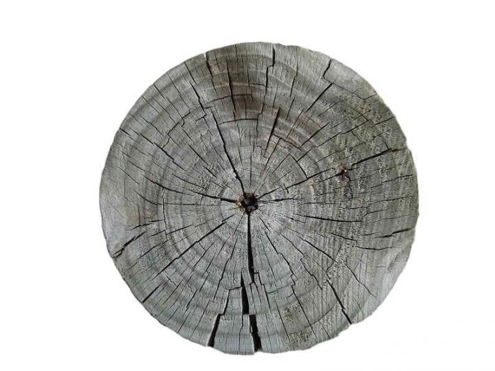 Wood 022