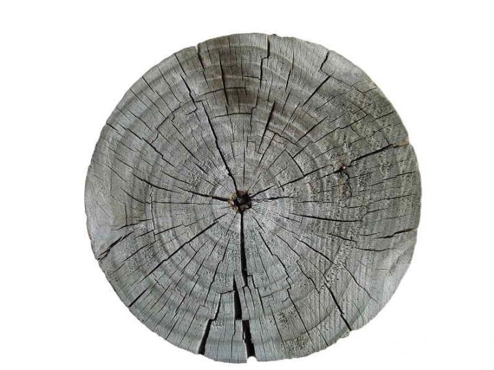 Wood 025