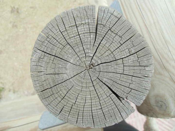 Wood 027