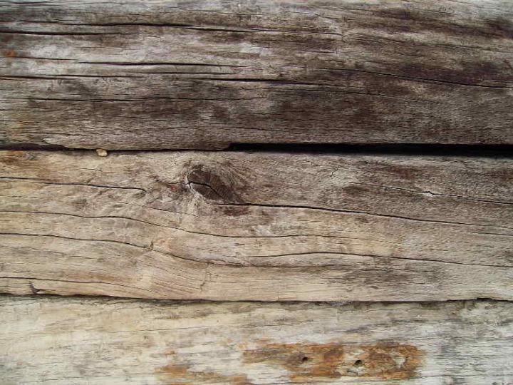 Wood 047