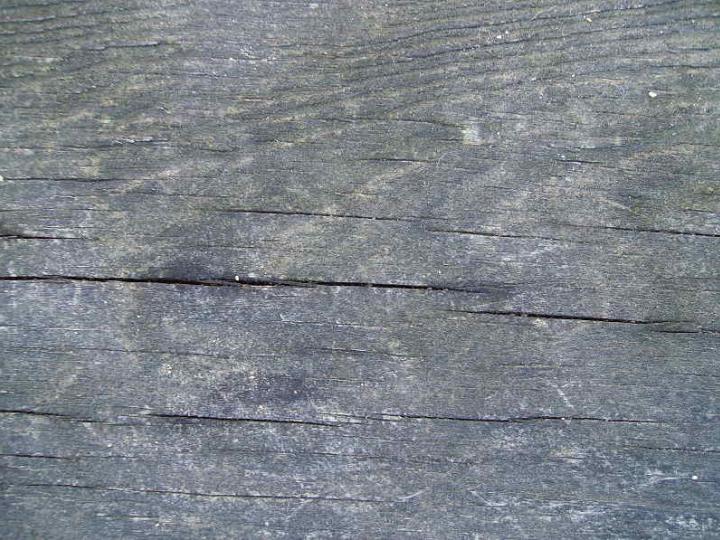 Wood 051