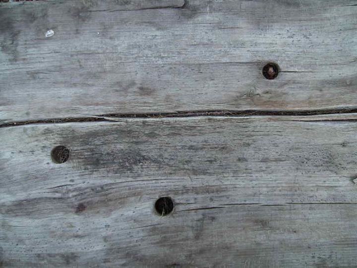 Wood 055